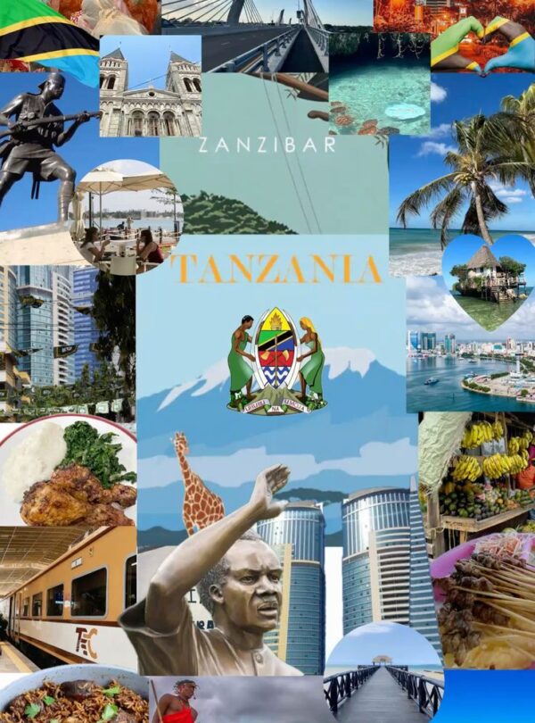 Tanzania is an East African country known for its vast wilderness areas & the Indian Ocean view🇹🇿