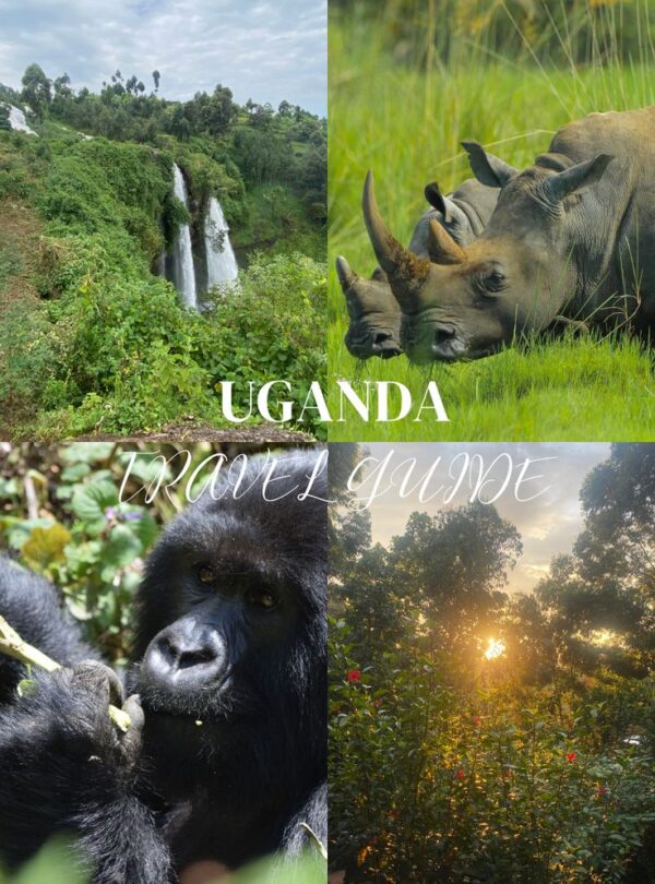 Your Ultimate Guide to Uganda_ Plan the Perfect Adventure